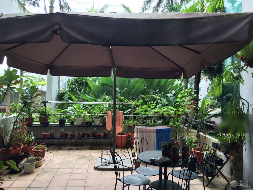 The Tessarina thumbnail photo